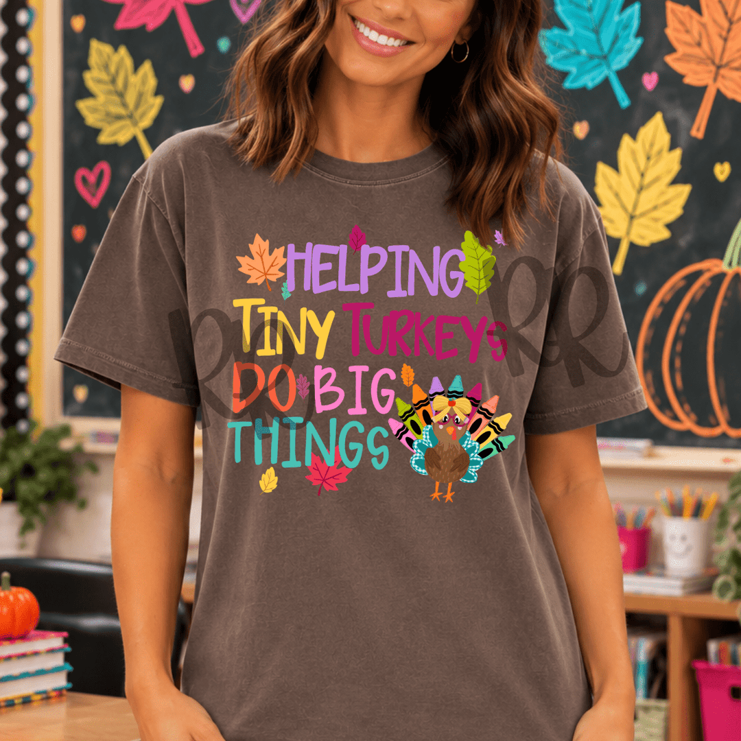 DEAL OF THE DAY - Helping Tiny Turkeys Brown Tee (FINAL SALE) - Tees - The Red Rival