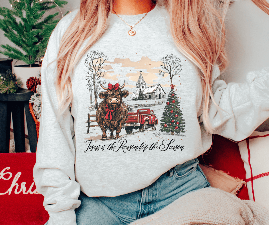 Jesus Is the Reason for the Season Ash Tee or Sweatshirt - Graphic Tee - The Red Rival