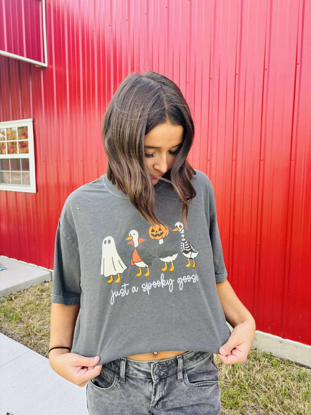 Just a Spooky Goose Characters - Graphic Tee - The Red Rival