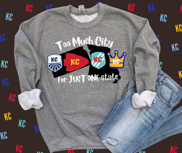 Too Much City For JUST ONE State Sweatshirt - Tees & Sweatshirts - The Red Rival